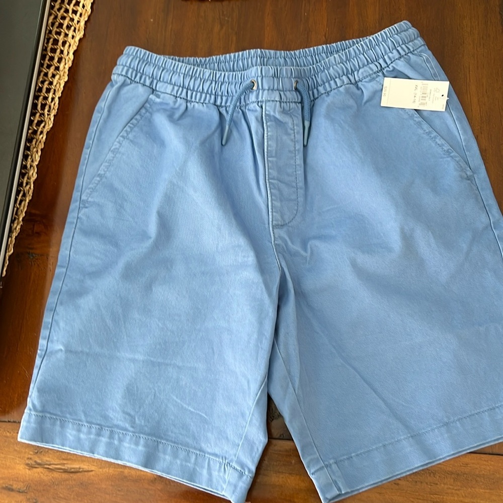 Gap Chino Shorts